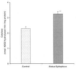 procedure for enzyme activity lab with lactase catalase and papin